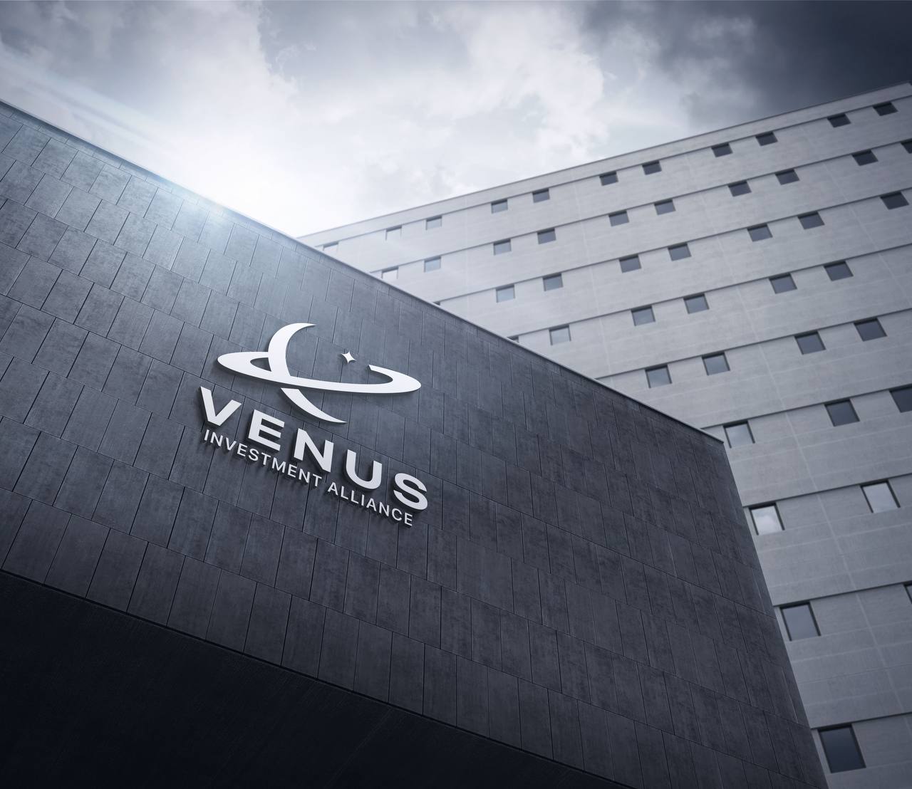 About Venus Investment Alliance