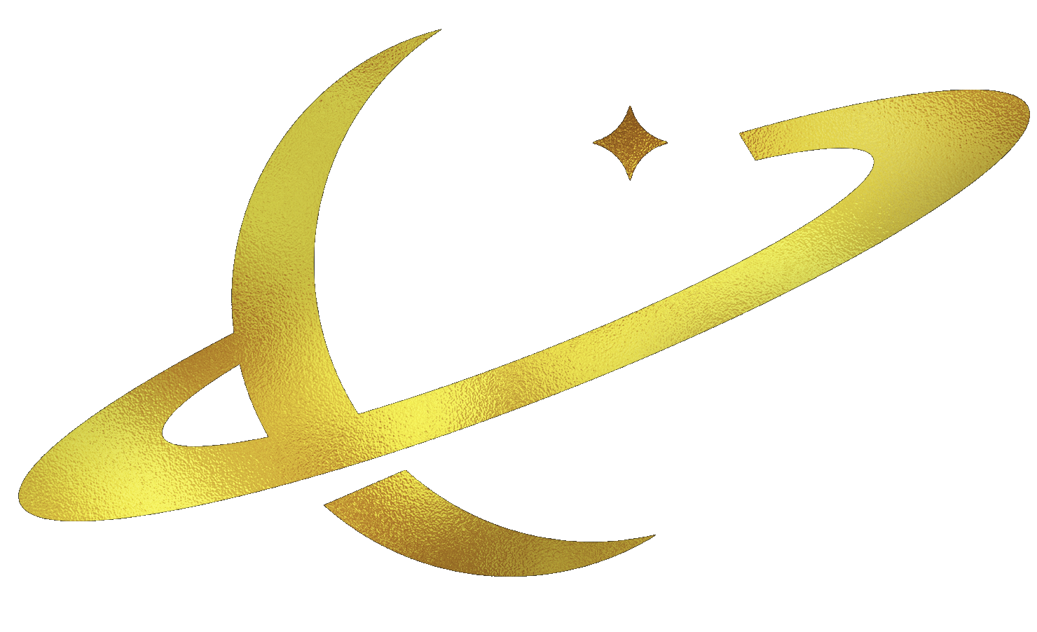Venus Invest Alliance Logo